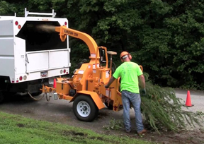 1290 Carlton 9in Hyd Brush Chipper