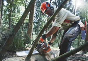 Husqvarna 562 XP chainsaw