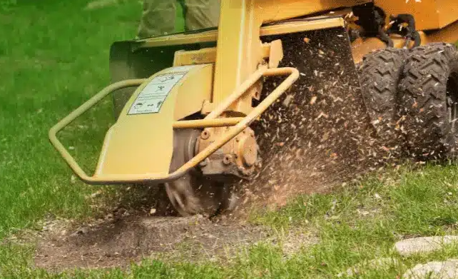 Stump Grinding Solutions