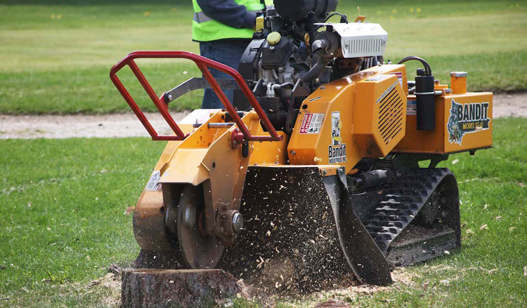 stump grinder rental