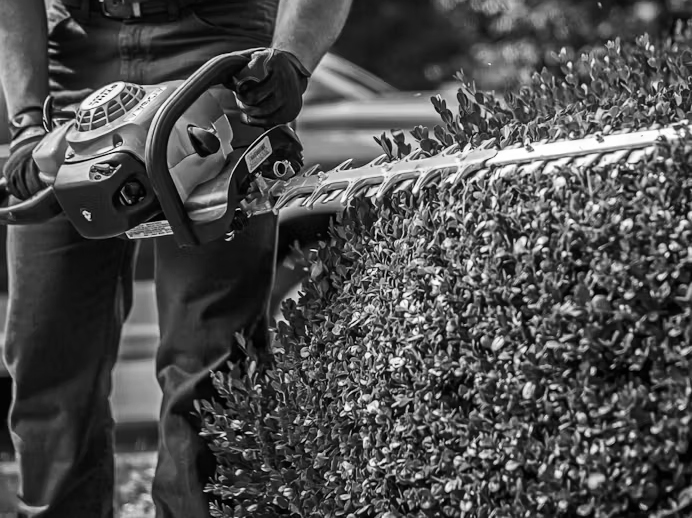 Hedge Trimmer Rentals