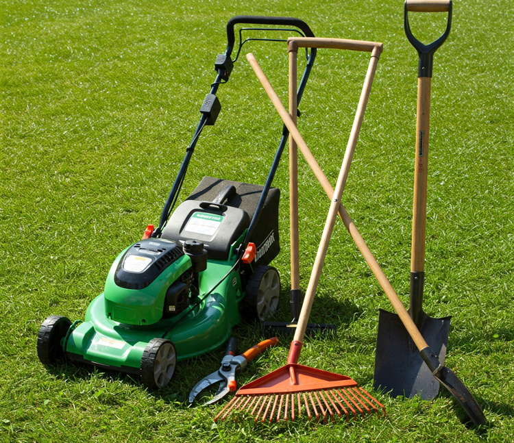 Top Lawn Care Tools To Transform Your Yard