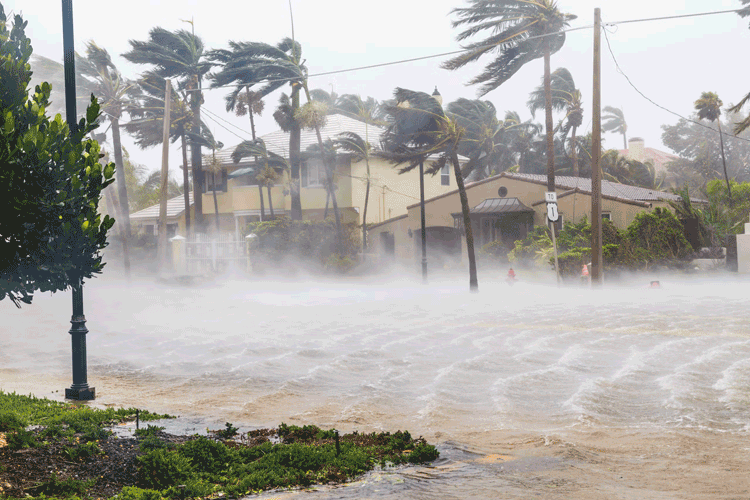 Expert Hurricane Tool Rental Picks